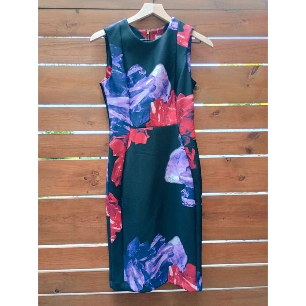 Calvin Klein sz 2 Scuba Dress Red Purple Floral Flowers